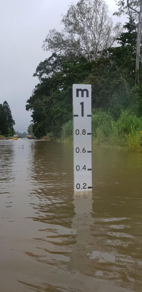 この物差しは、洪水の可能性がある Creek にあるもの。 左端に見える黄色の車が JAZZ.