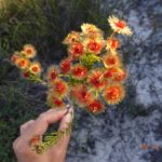 今、私達が新型コロナから守ろうとしているもの