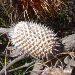 2/3 不信仰クリスチャン奮闘記 : 神様の訓練第一段階