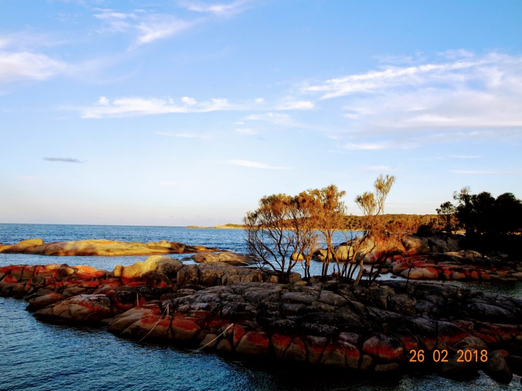 タスマニア島 写真三昧 その６ ローンセストンから東へ キャンピングカーで旅するオーストラリア大陸