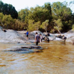 紅い道 ケープヨークCAPE YORK テント旅 ６−WIEPA ウィーパ、Archer River アーチャーリバー再び